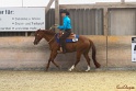 30-APHA O+A WP_019